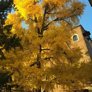 Ermanni Verona